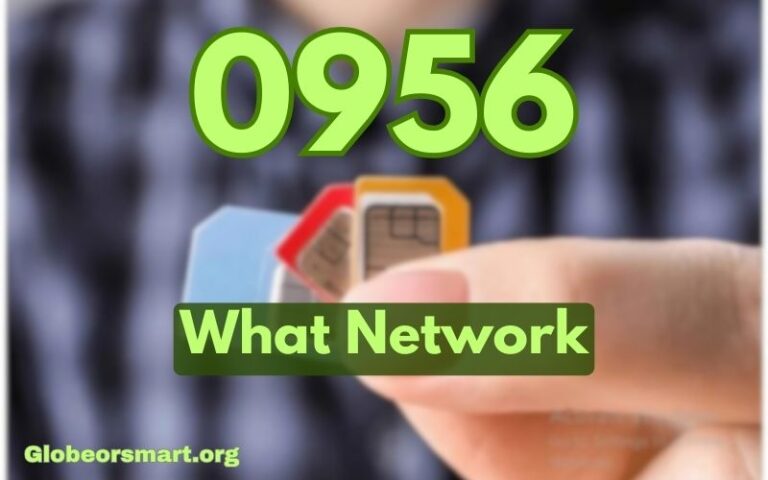 0956 What Network