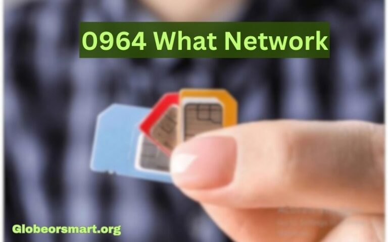 0964 What Network