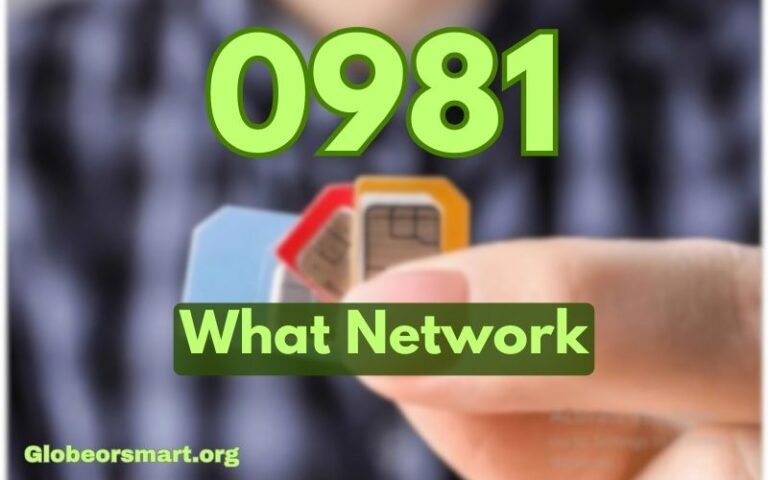 0981 What Network